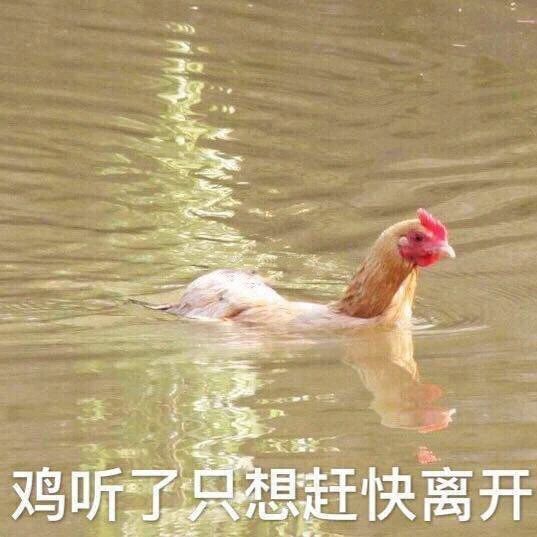 漂亮姐姐可以带我打游戏吗表情包,简单可爱的表情包仙女姐姐