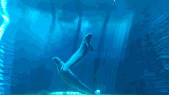 三亚值得去的高端酒店,三亚豪华海景酒店自由行