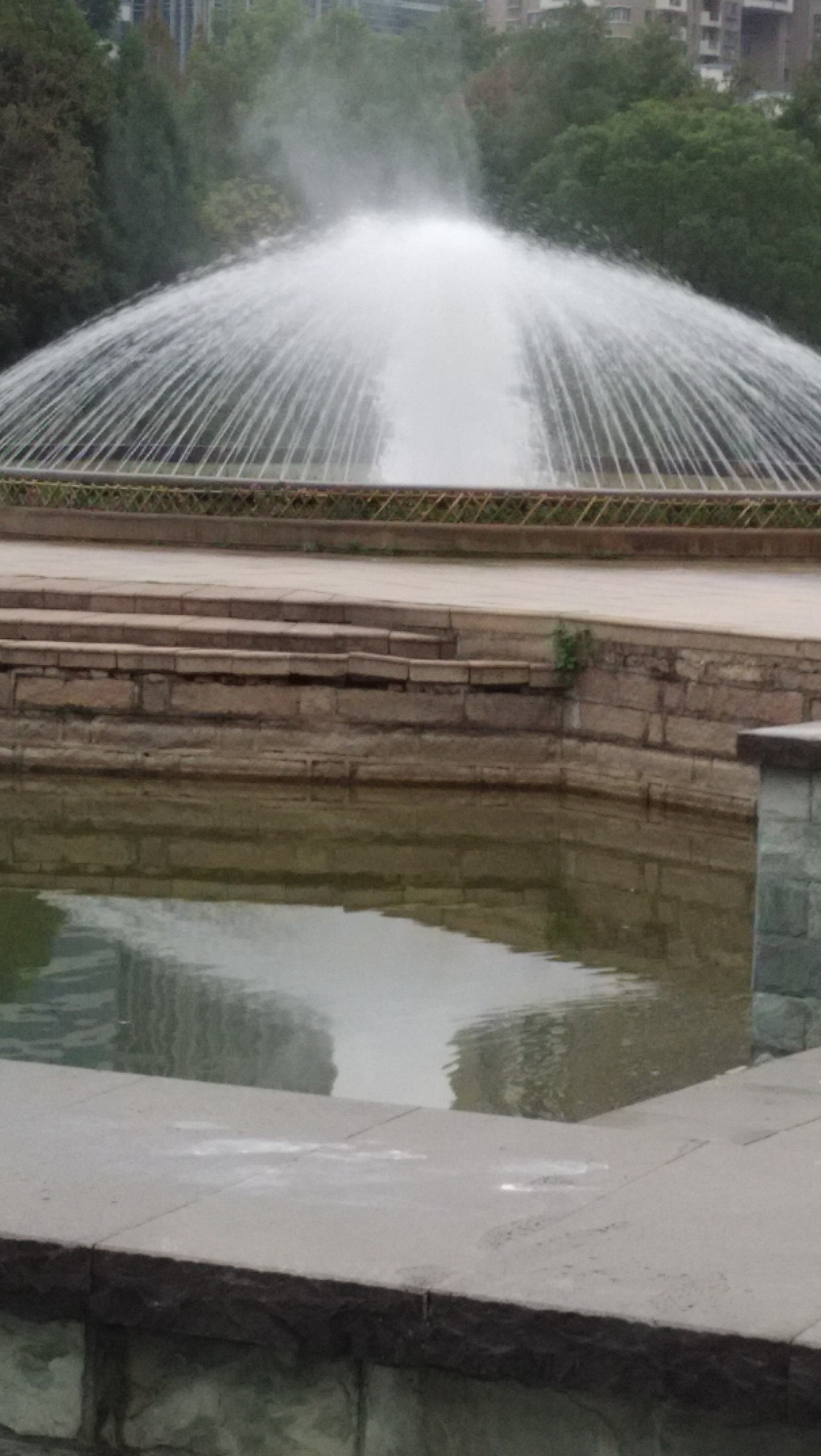 福州温泉公园郁金香,福州温泉公园二手房