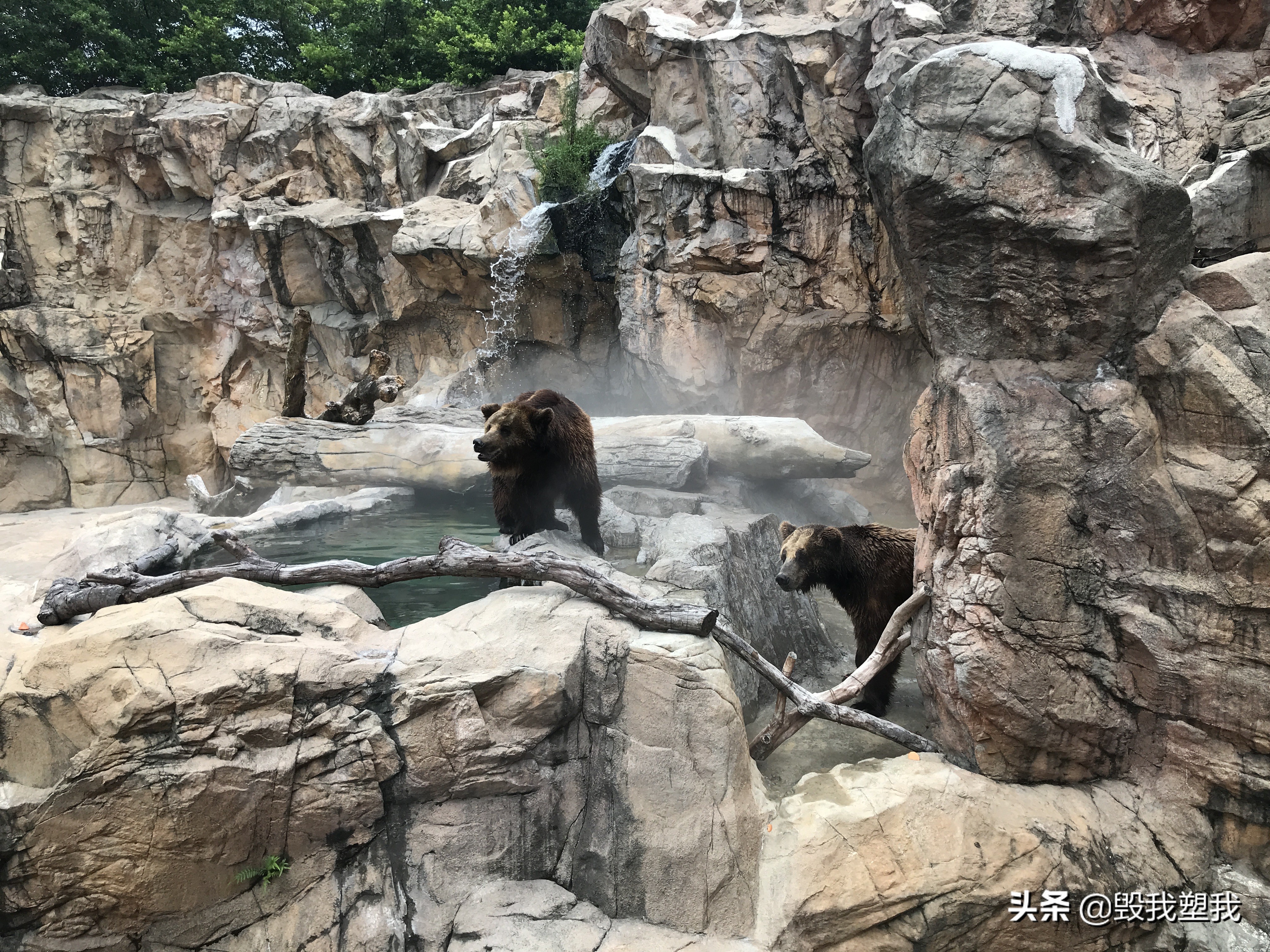 珠海长隆每个乐园都需要买门票吗,珠海长隆野生动物园门票价格