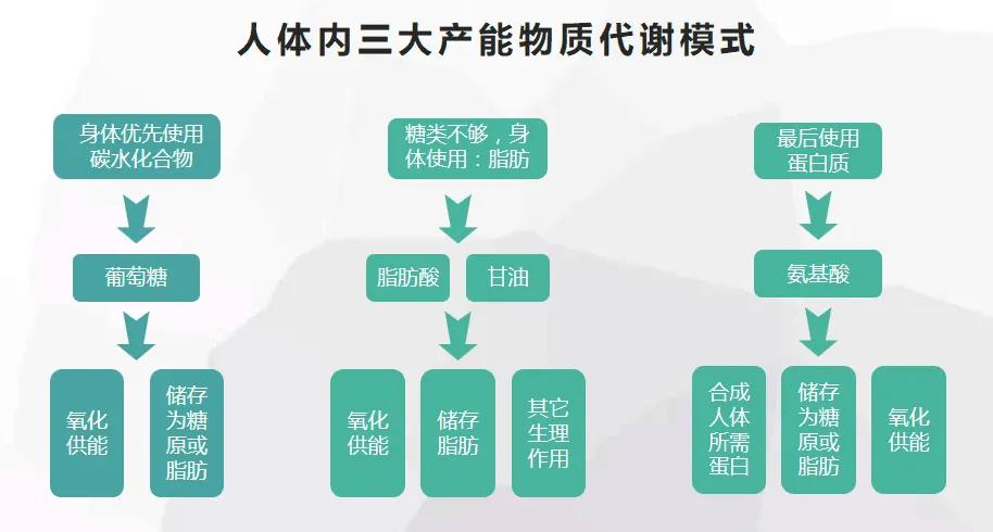 3021安馨代理几个级别,安馨3021做代理需要钱吗