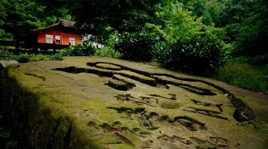 汤晓春：蒙顶散记