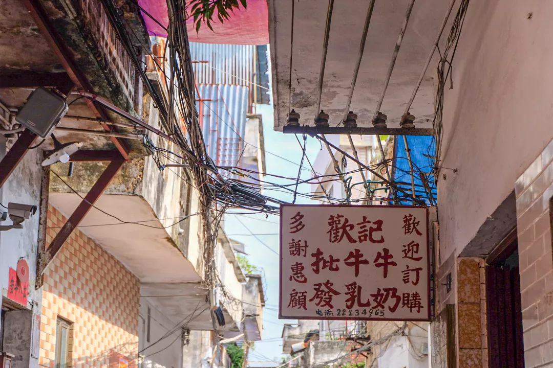 顺德到底啥好吃,顺德到底有多好吃