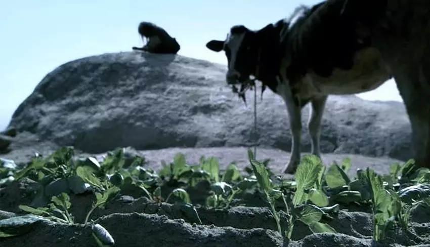 《斗牛》:苦难终将过去,只要熬下去,终会活下去