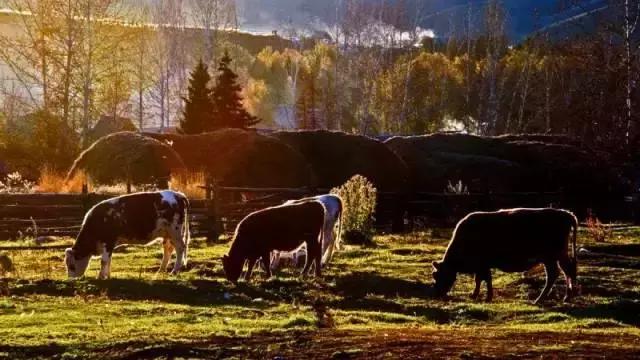 中国国家地理十大最美秋色,寻找中国最美自驾游