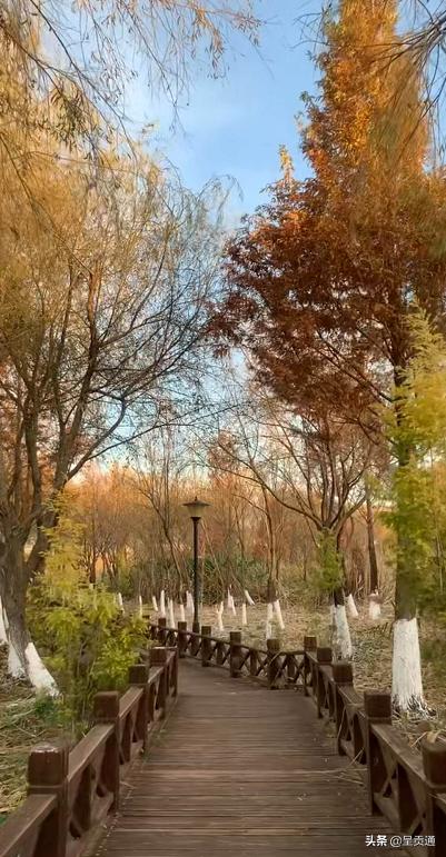 渔浦寒泉生态湿地公园在昆明哪里,昆明渔浦寒泉公园开放了吗