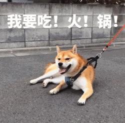 中山有必要买房吗 (有没有必要中山买房)