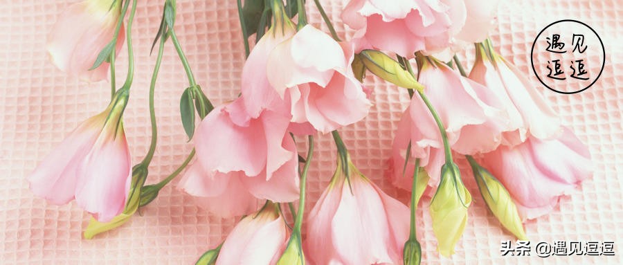 当一个人在婚姻里很心累,没人心疼自己要学会心疼自己句子