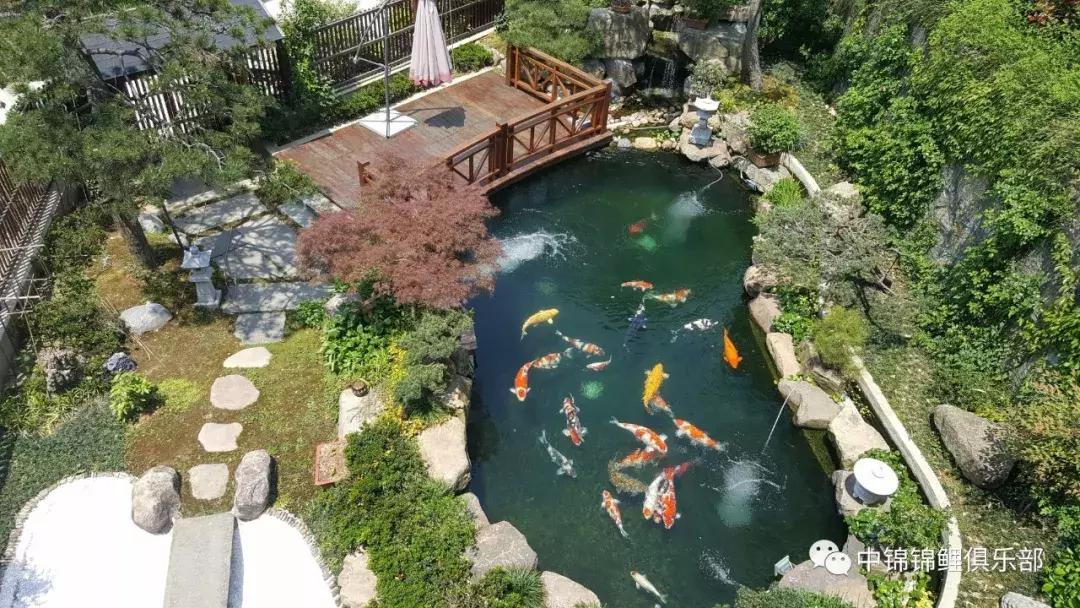 北京室外地上鱼池怎么过冬,东北户外鱼池过冬