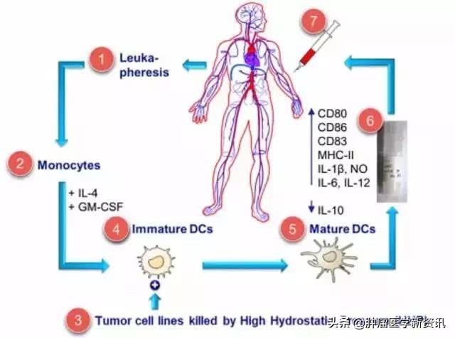 日本细胞免疫疗法骗局,日本细胞免疫治疗一般维持多久