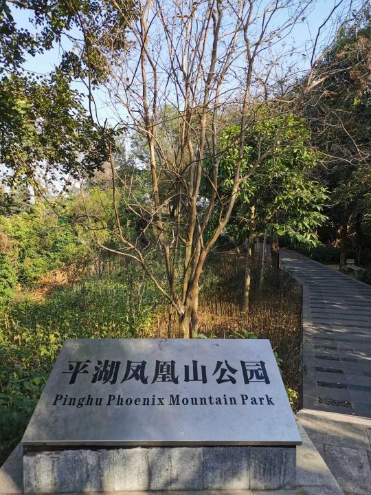 深圳五十个免费景区,深圳五一免费公园