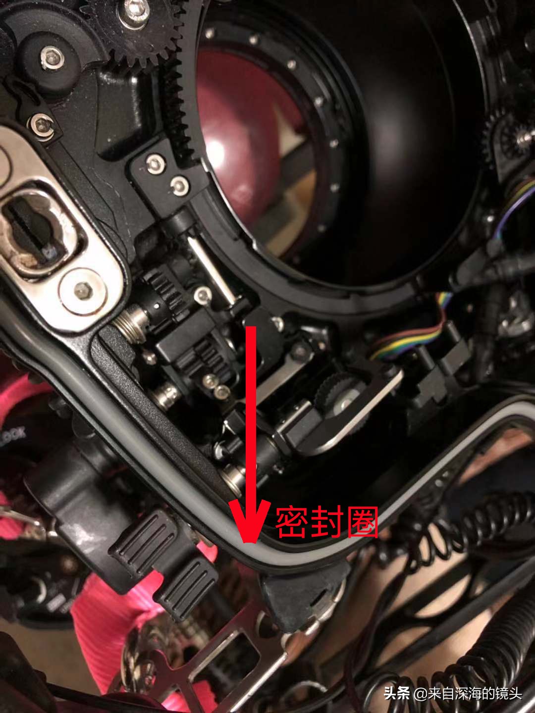 水下拍摄都用什么,水下摄影一般都用什么相机