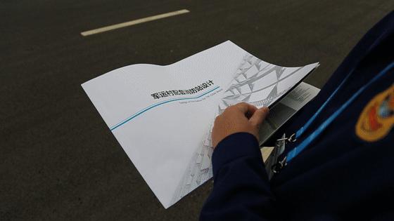 在江夏，我遇见了青松