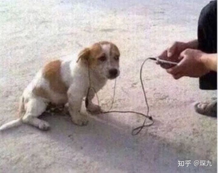 又短又能让人笑窒息的笑话,有什么可以让人笑抽的笑话