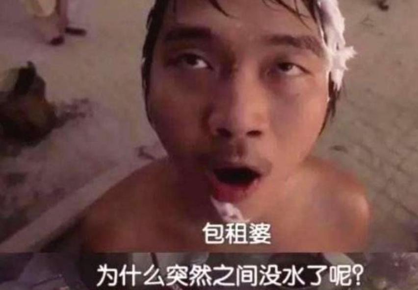 包租婆为什么火了,包租婆当年有多火