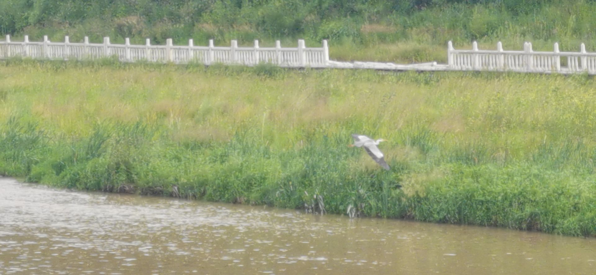 神奇的旅游城市,神奇的市区