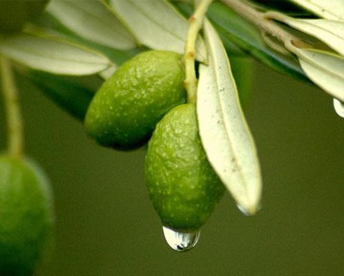 夏天肤色黑怎么办,黑黄暗沉肤色改善