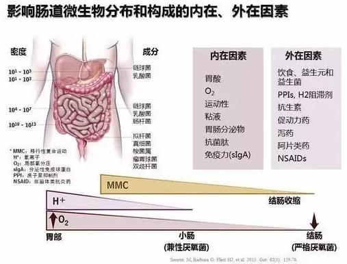 澧炲己鍏嶇柅鍔涙槸鏍规湰,澧炲己鍏嶇柅鍔涚殑鐪熺浉