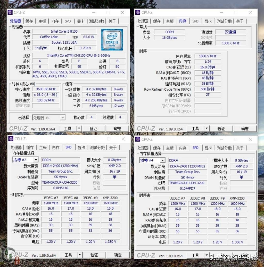 用海力士颗粒做的内存有哪些,十铨vulcanddr42400