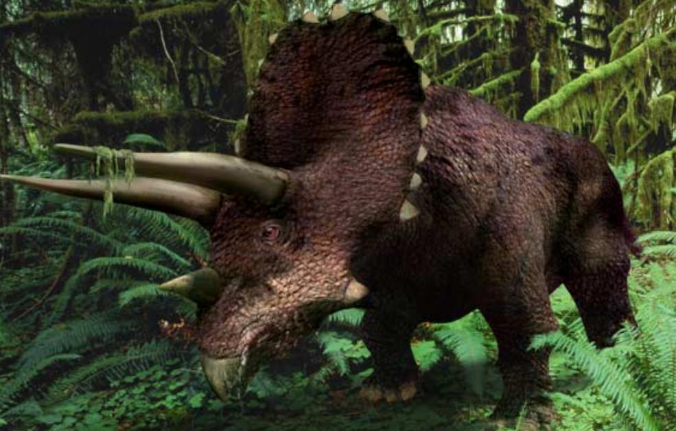 6600万年前大恐龙骨架拍卖，龙角超过1米，生前是霸王龙的食物