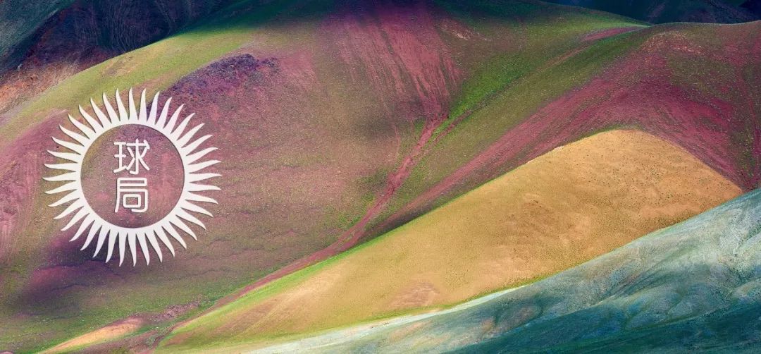 谁在保护金丝猴,谁在保护北极熊