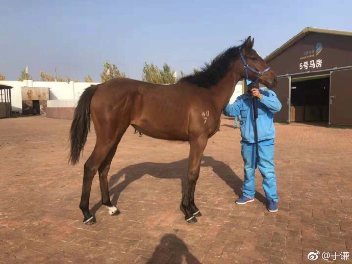 于谦50大寿郭德纲送礼,郭德纲于谦经典写诗