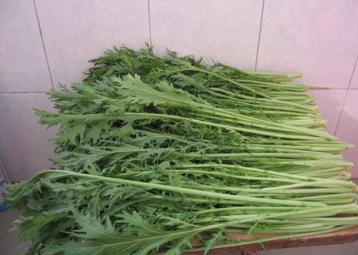 雪里蕻为啥老,为什么腌雪里蕻很臭