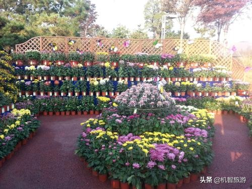 日照旅游渔家乐住宿别墅,日照渔民开的渔家乐