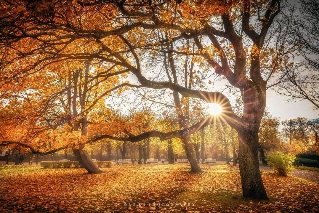 央视十大经典背景音乐,央视常用的16首经典背景音乐