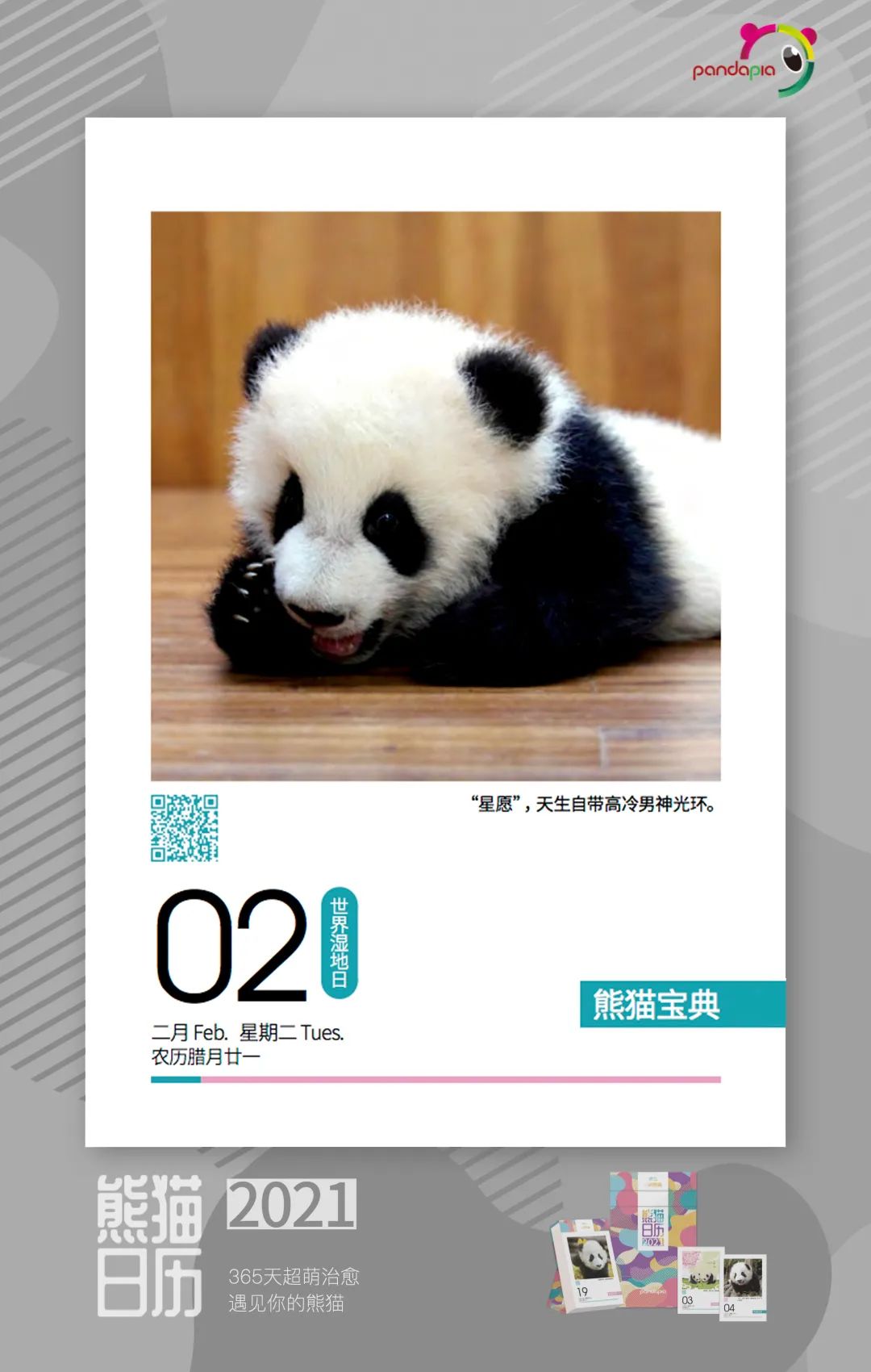 大熊猫快速吃竹笋,大熊猫吃竹子图片