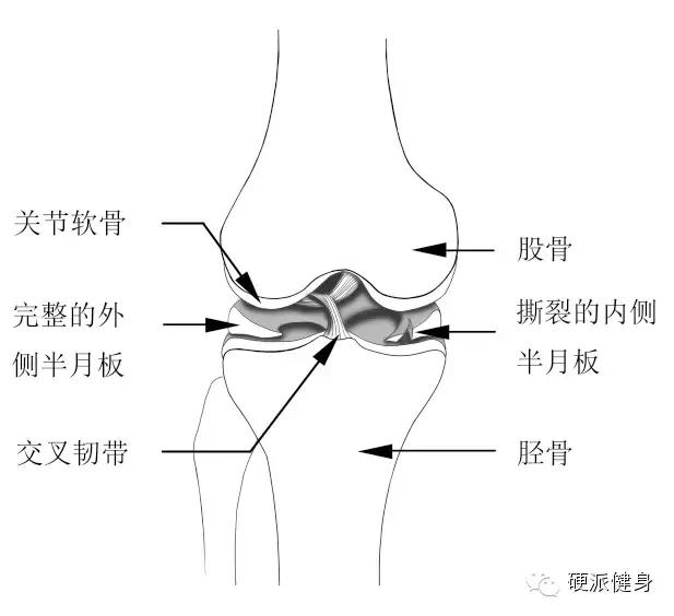 健身教练四个动作缓解膝盖疼痛,健身教练矫正腿型课有用吗