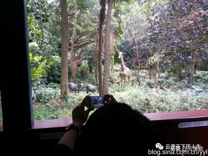 香港迪士尼乐园亲子游,香港迪士尼儿童乐园