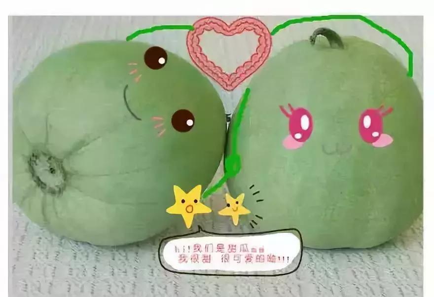 适合农民种植的致富项目,山区农民致富好项目