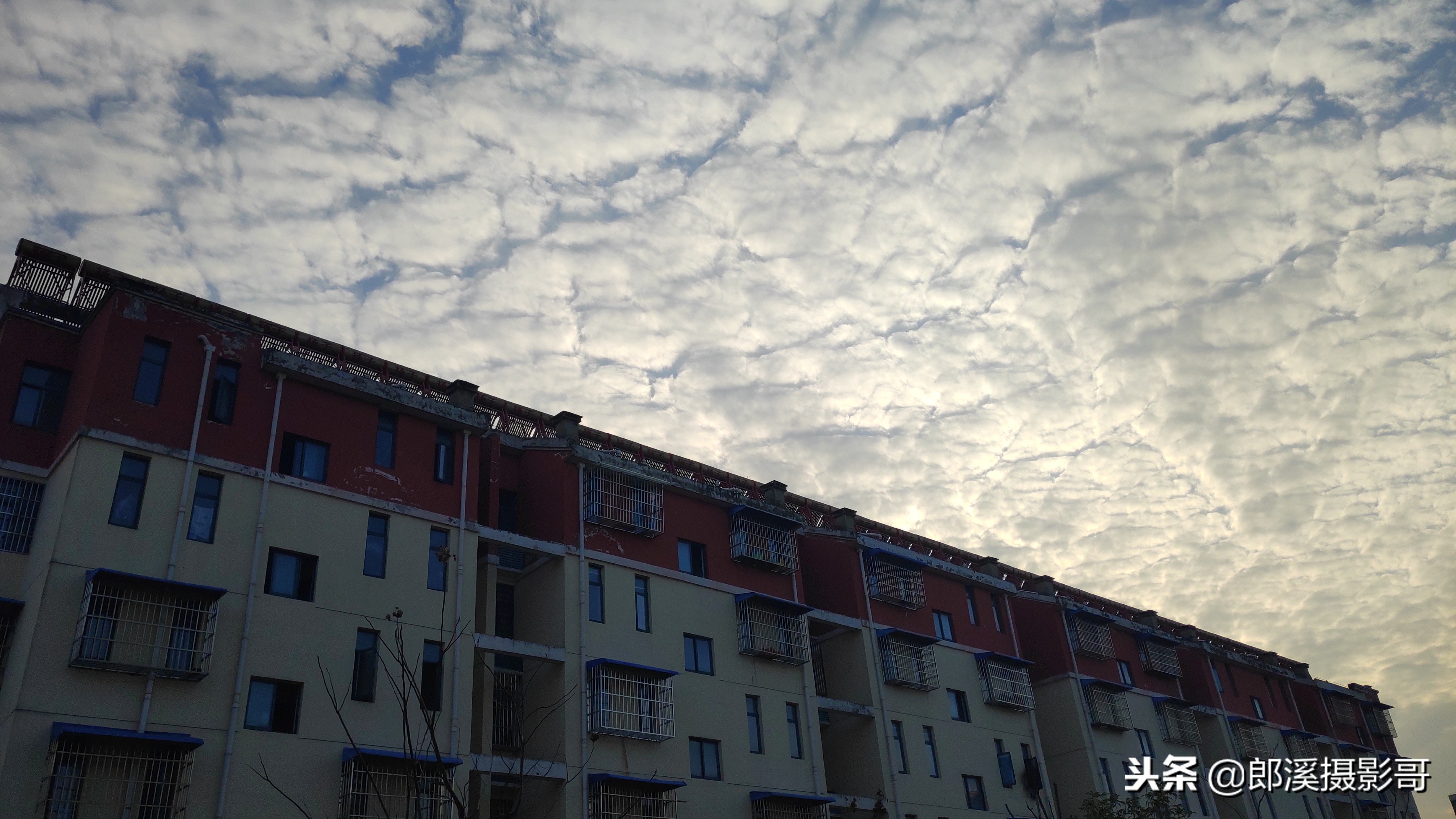 手机照相删除的视频怎么恢复,废旧手机里面的照片怎么处理