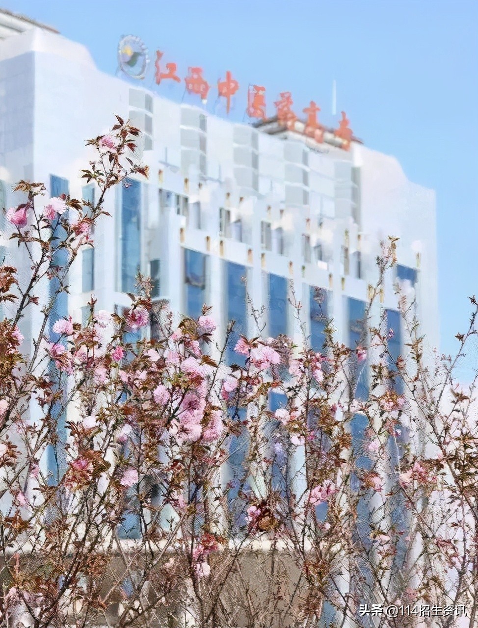 江西中医药高等专科学校能单招吗,江西中医药高等专科学校升本科吗