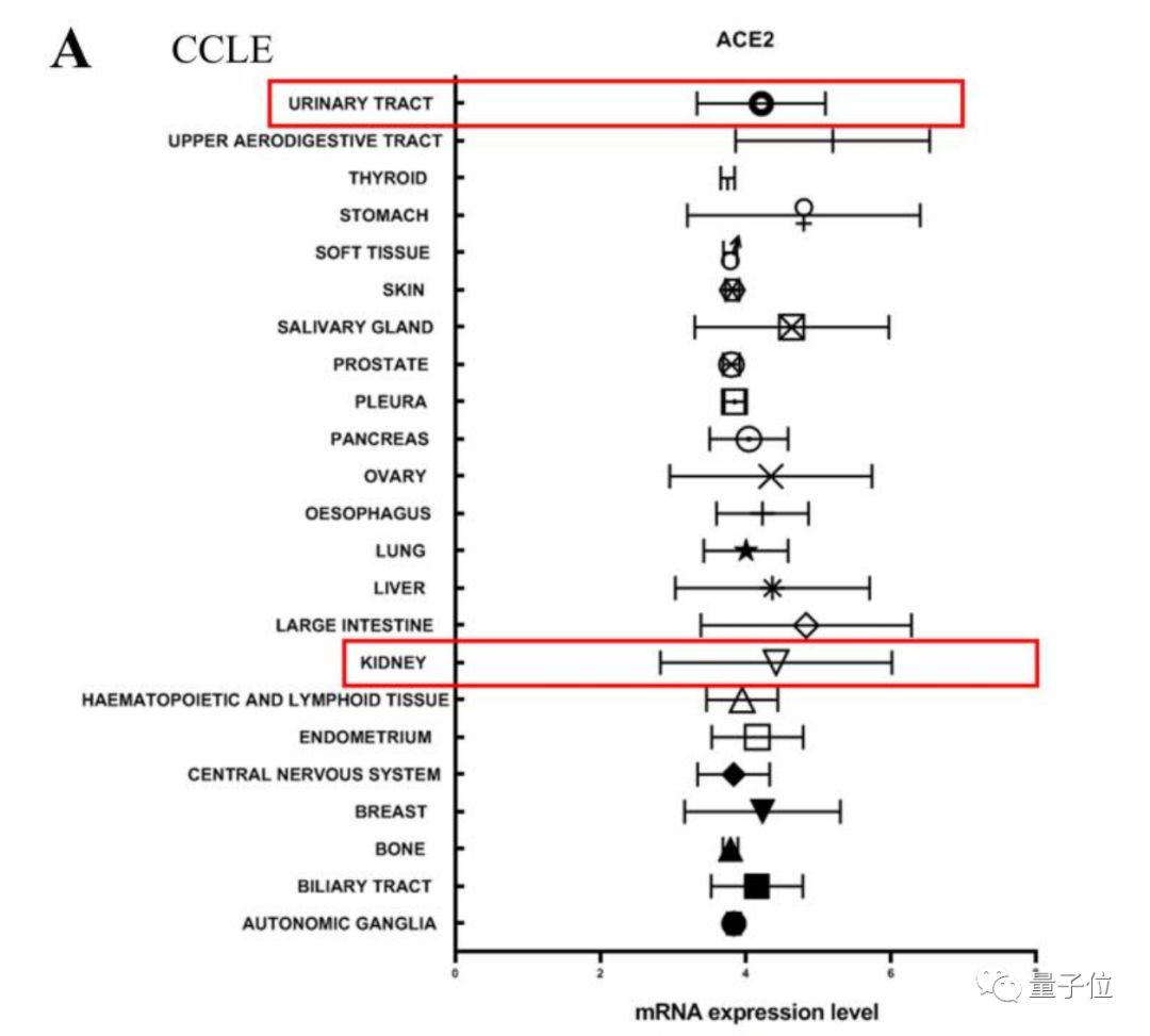新冠睾丸损伤,新冠损伤睾丸