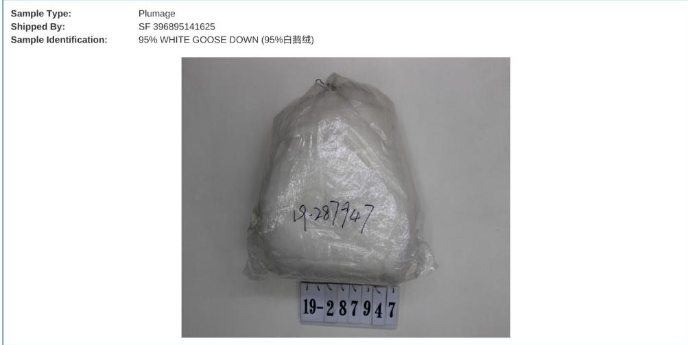 鹅绒羽绒服热力版,鹅绒服300克以上羽绒服极寒系列