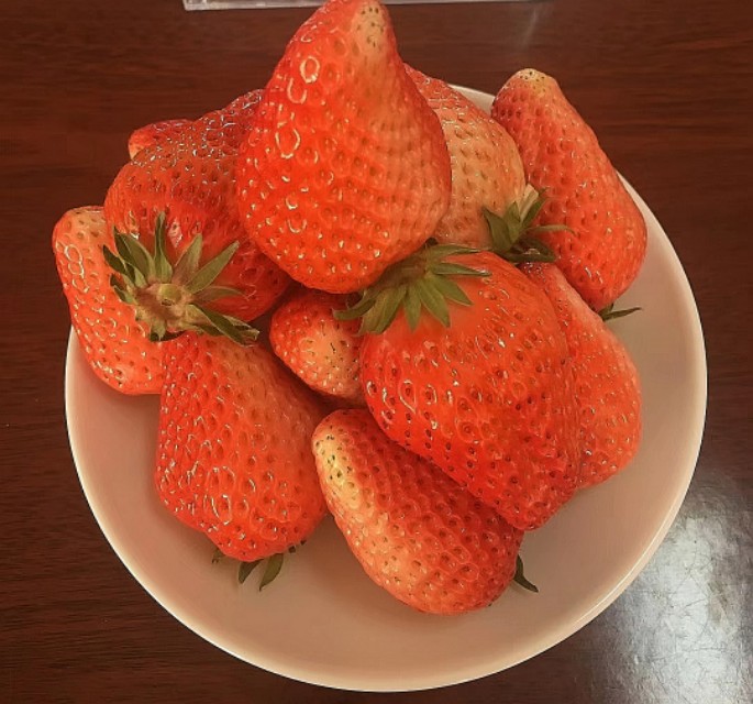 现在哪里有大棚种植草莓,大棚草莓种植草坝