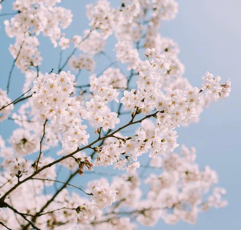 如何温柔地表达我想你了文案,最温柔的表达我想你了