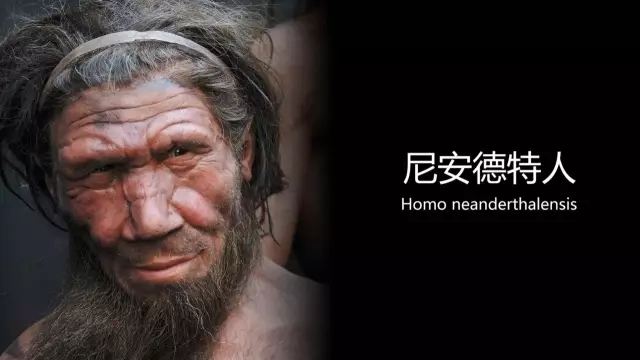 为什么黑黄白人种没有生殖隔离,黄种人和黄种人有生殖隔离吗