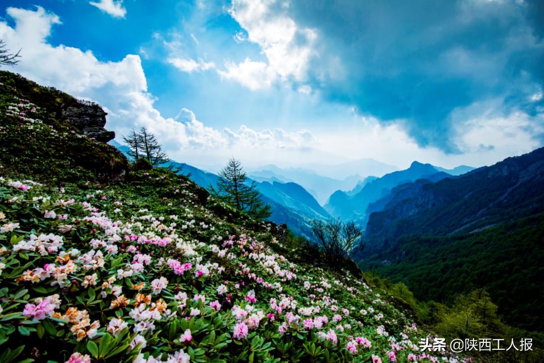 三八节西安景点有哪些优惠,三八妇女节都哪些景区免票