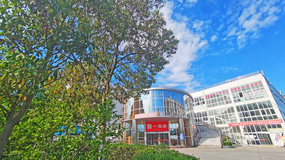 四川遂宁市有哪些公办大学,四川遂宁大学