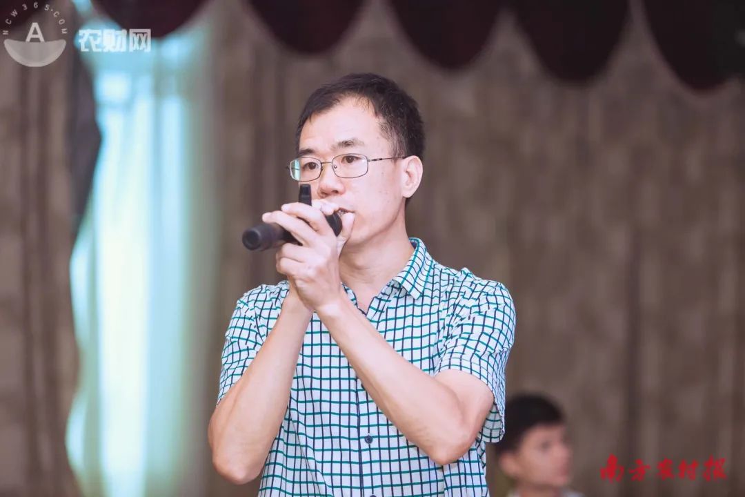 桉树未来10年的发展趋势,桉树未来几年还可以种吗