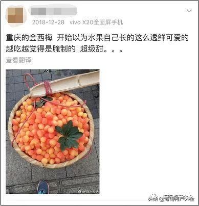 金西梅水果五颜六色,金西梅网红介绍