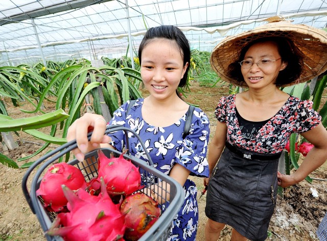 农村种植20万亩地一年能赚多少钱,搞农业种植什么可以赚钱
