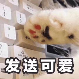 猫咪的爪爪怎么这么可爱,猫咪爪爪知识