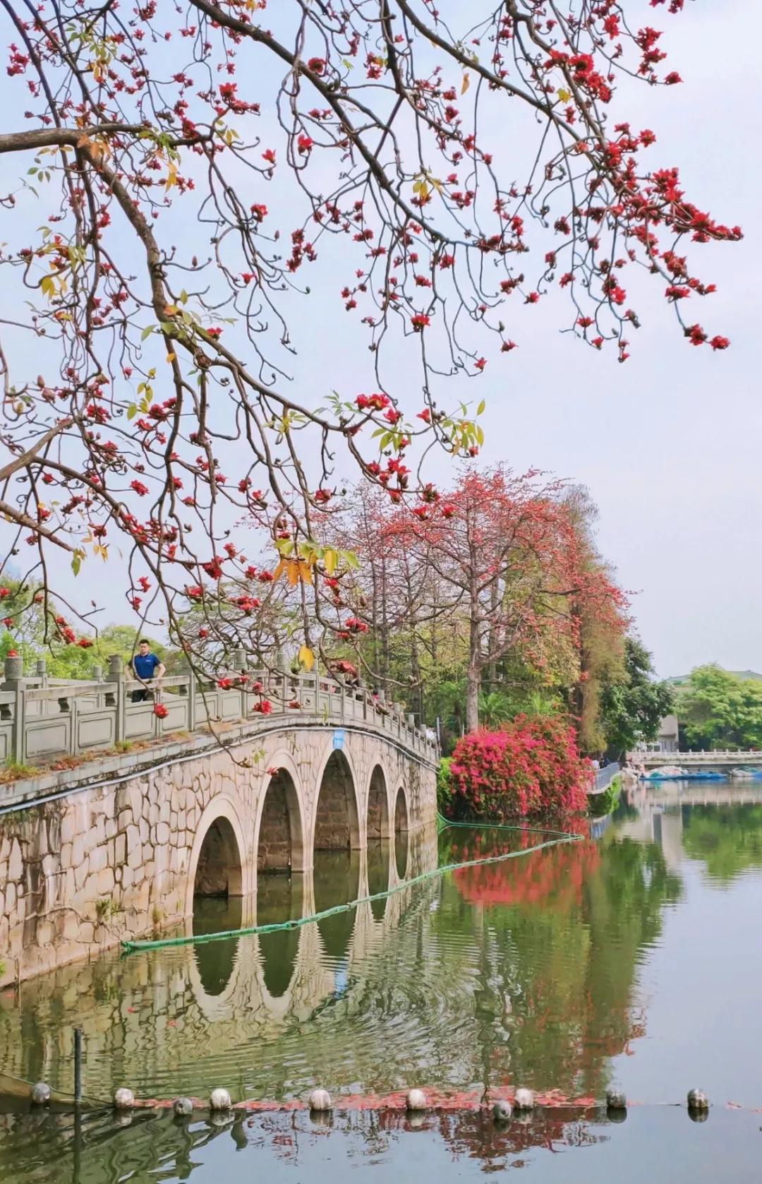 宝藏新公园周末好去处快来打卡,必打卡的宝藏公园