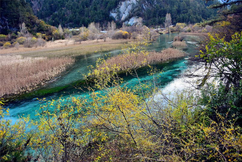 置身于童话中的九寨沟,畅游人间仙境黄龙九寨沟七日游