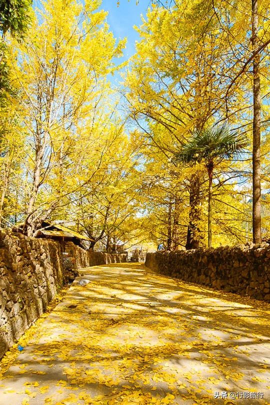 作为一个北方人还是喜欢呆北方,作为北方人为什么喜欢古城烟雨