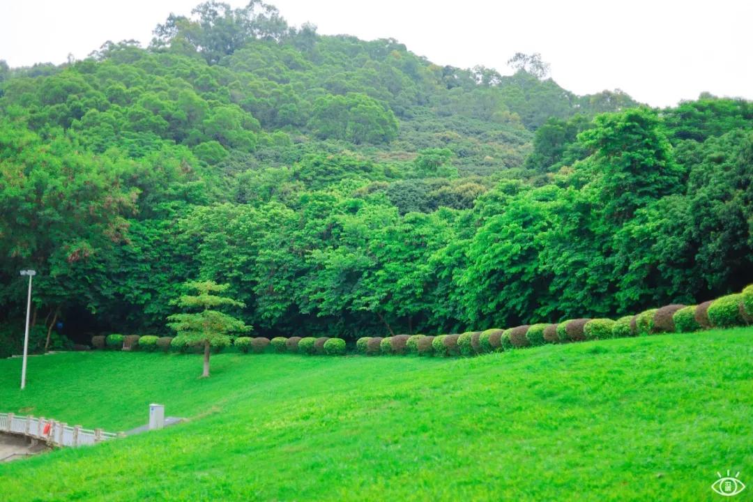 深圳宝藏公园风景图片,深圳宝藏自然游乐区